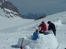 Teambuilding activities - Igloos building