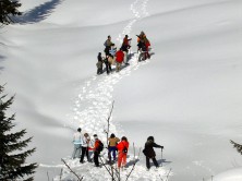 Teambuilding activities - The snowshoe trekking